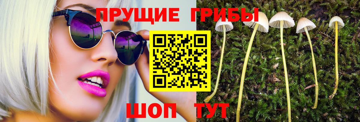 Галлюциногенные грибы MAGIC MUSHROOMS Курган