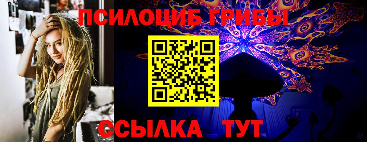 Курган  Галлюциногенные грибы Psilocybine cubensis  Вход с VPN 